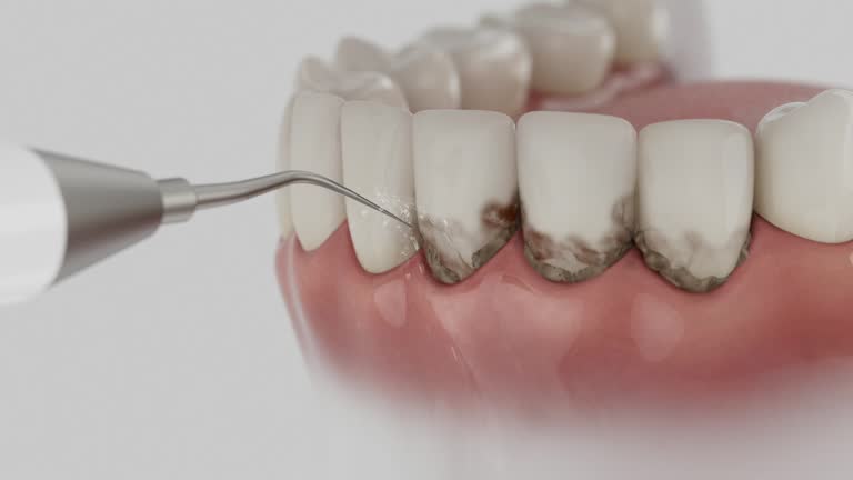 Reliable Dental contractor in El Paso de Robles, CA by Dentist Open Now